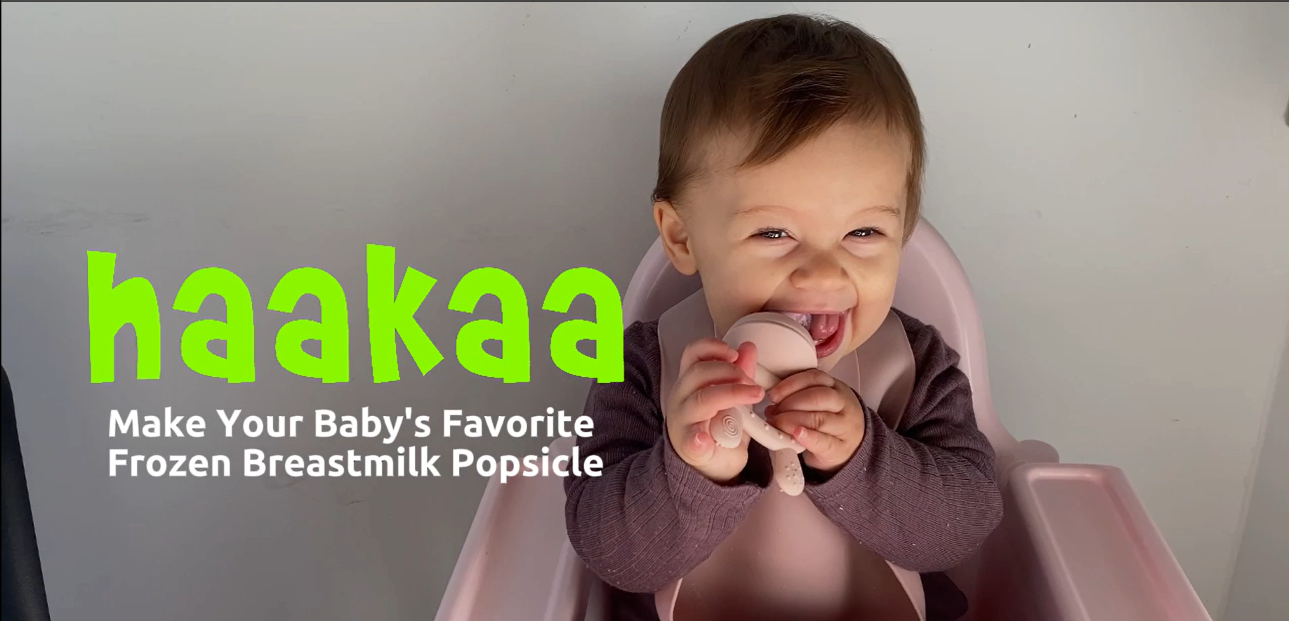 BABY MILK頭物4点 Amazon.com: Haakaa Baby Fruit Food Feeder & Mini Freezer Nibble